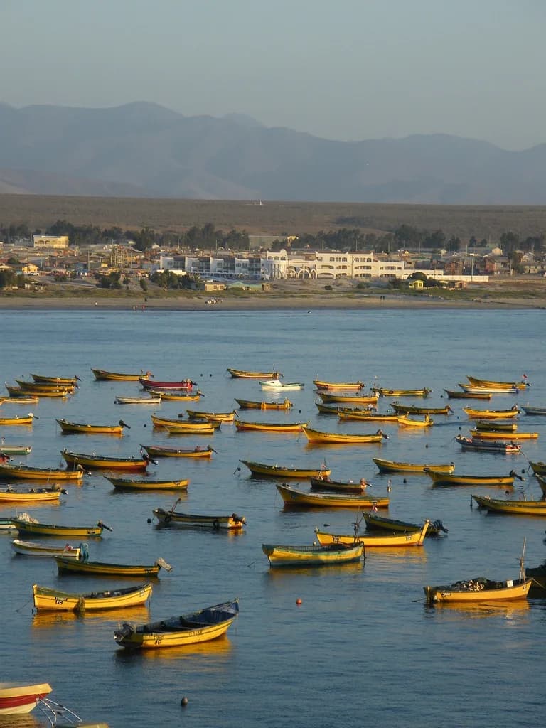 Embarcaciones en la caleta de Tongoy